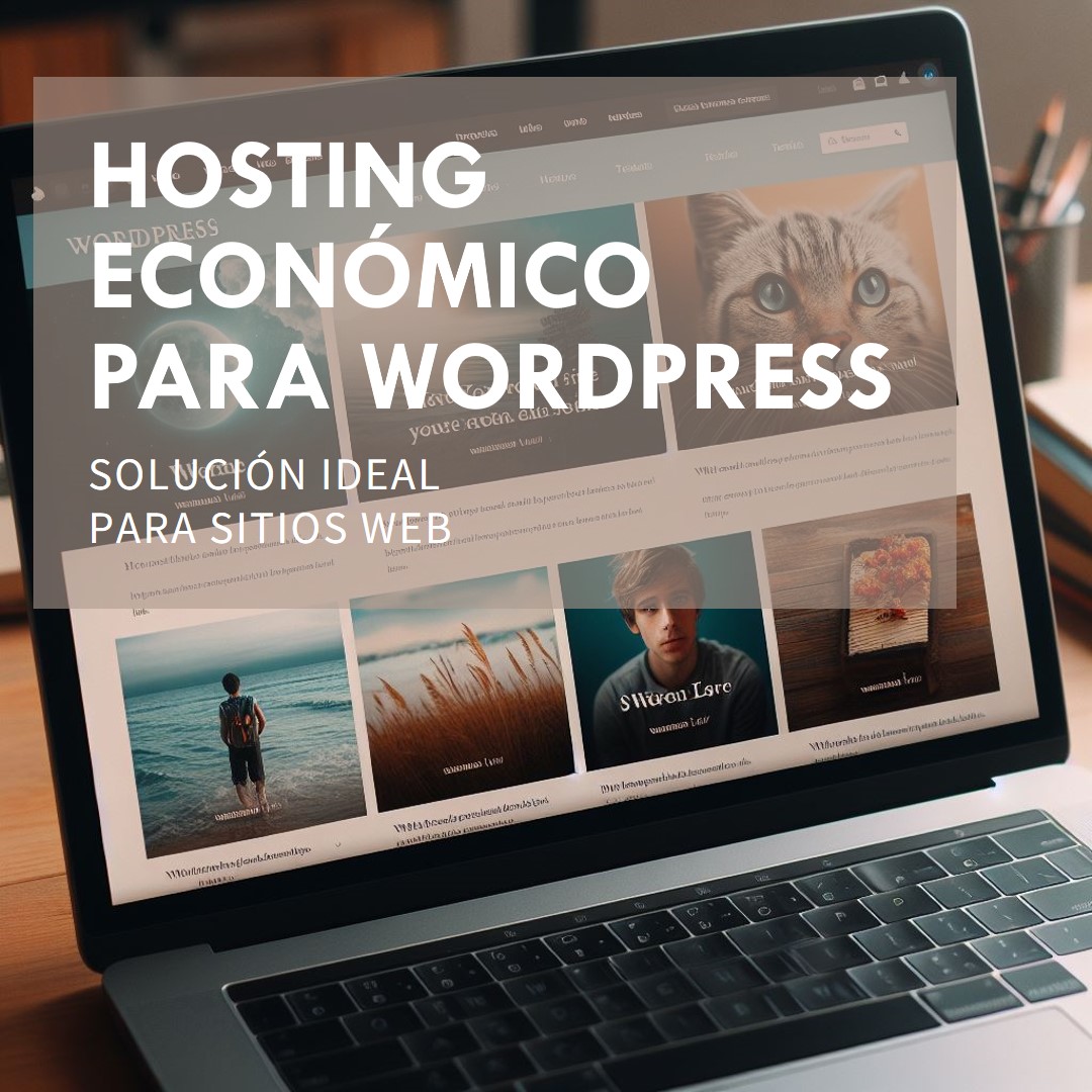 Hosting económico para WordPress: la solución ideal para sitios web accesibles y eficientes